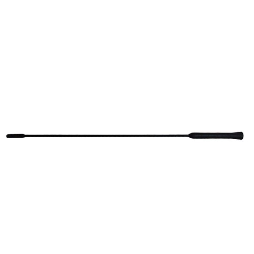 Antenne auto per ford - auto, focus