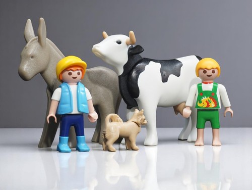 Playmobil bambini ragazzi