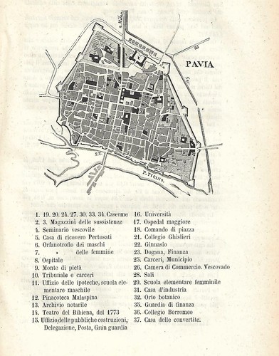 Stampa antica pavia pianta - stampa,