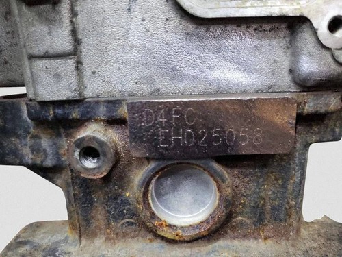 Motore kia rio iii d4fc - motore,