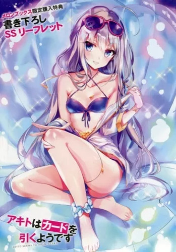 Libro anime akito disegni - libro,