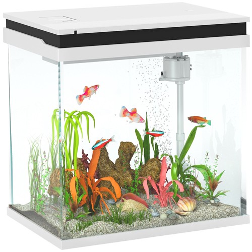 Acquario per pesci rossi - pesci,