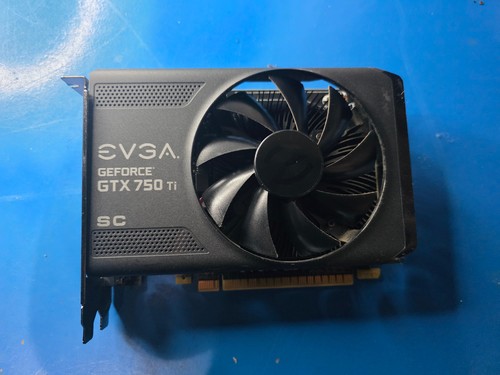 Scheda grafica evga - scheda,