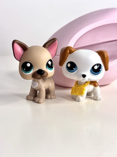 French bull dog - and, littlest