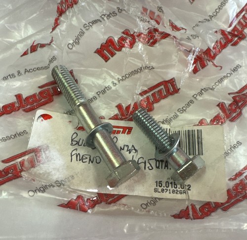 Coppia bulloni pinza freno - pinza,