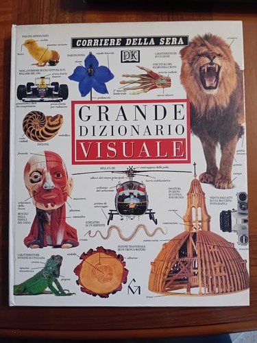 Grande dizionario visuale - grande,