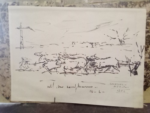 Antico disegno buoi bovino - antico,