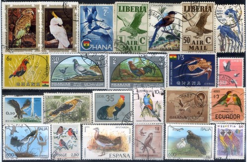 Tematica uccelli annate - uccelli,