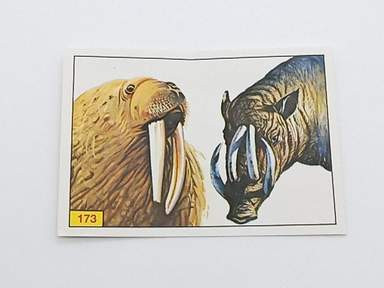 Mammiferi 173 panini - ed.,