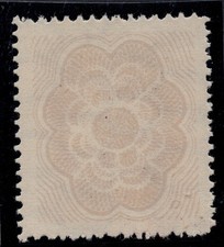 Lente d'ingrandimento filigrana con stampa fondo di sicurezza solo