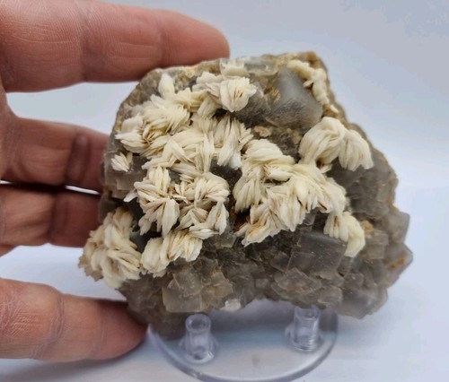 Minerali fluorite con barite - con,