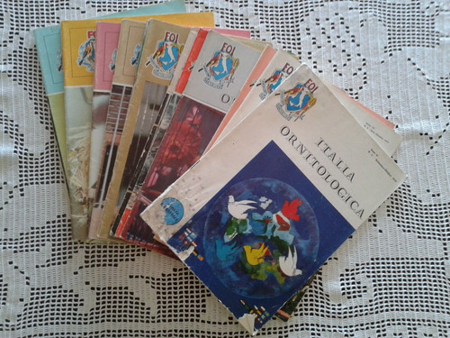 Lotto numeri italia - lotto,