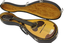 Mandolino Suzuki M-30 con