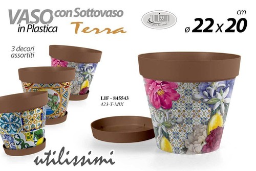 Vaso piante grasse fiori semi - vaso,