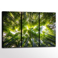 Set di 3 Quadri Moderni con