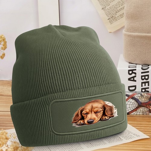 Carino cane che dorme - , cucciolo