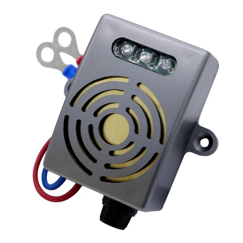 Auto roditore topo martora - roditore,