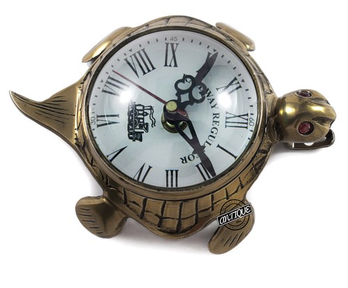 Tartaruga orologio completo - tartaruga,