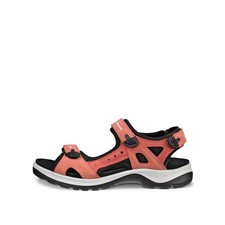 ECCO OFFROAD Yucatan carbone