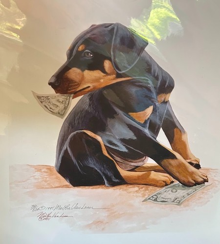Doberman pinscher puppy - doberman,