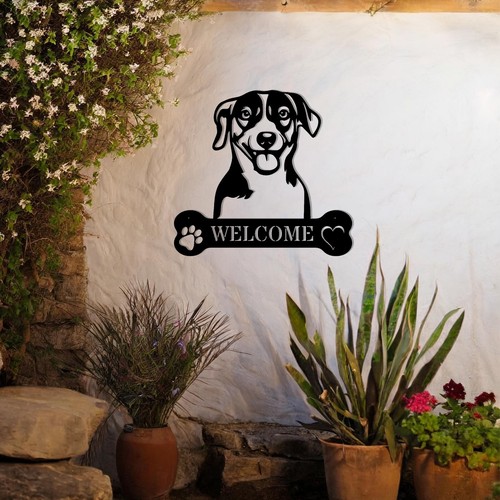 Delizioso jack russell - delizioso,