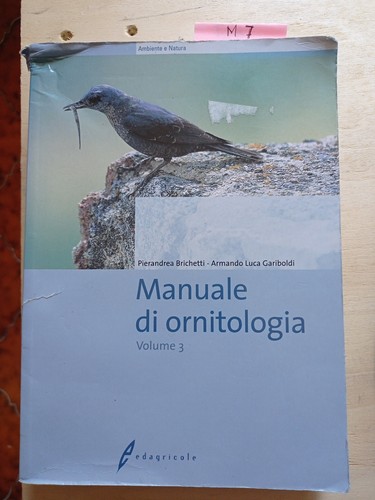 Brichetti gariboldi manuale - manuale, di
