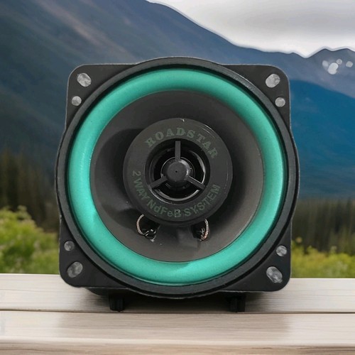 Altoparlanti road star 100w - altoparlanti,