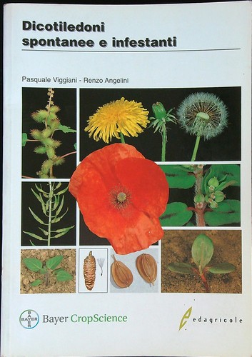 Dicotiledoni spontanee - spontanee, e