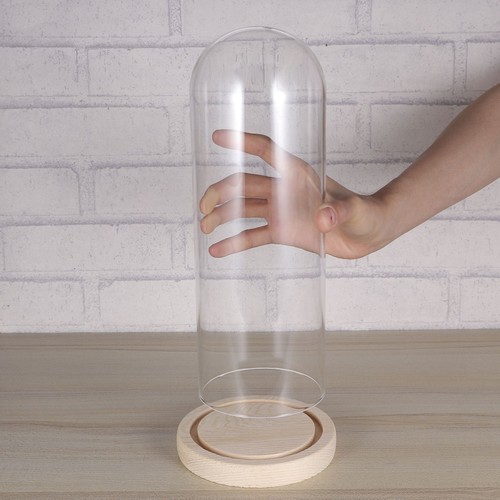 Base legno vetro - vetro, campana