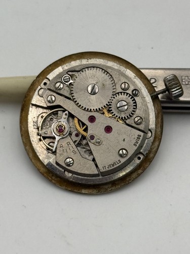 Guidus venus 227 movement - guidus,