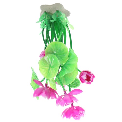 Decorazione acquario - decorazione,