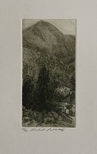 Silvestro Pistolesi acquaforte "Panorama" 58x38 firmata numerata 61/80 DD