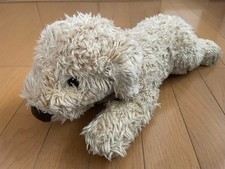 Barboncino peluche yoshitoku - barboncino,