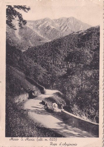 15938 mosso santa - 15938-(biella),,