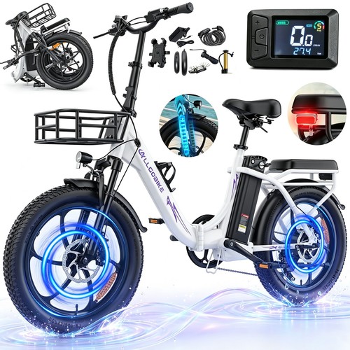 Bicicletta elettrica
