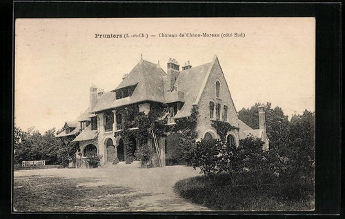Cpa pruniers chateau - pruniers,,