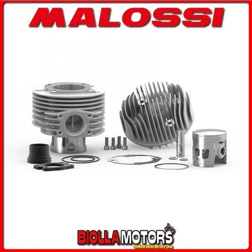 3117163 gruppo termico malossi - 3117163,