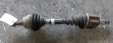 52130451 Semialbero ant