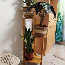 Scala per piante ripiani