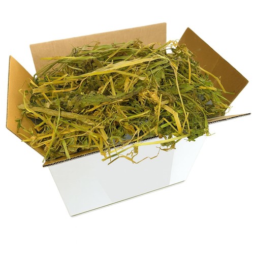 Erba medica 15kg - erba, (alfalfa)