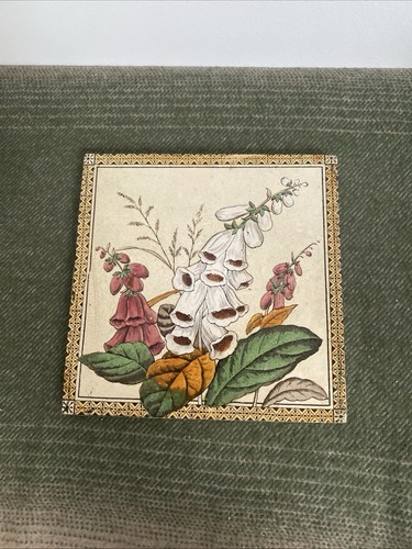 Foxglove design antica - foxglove,