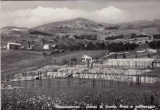 PESCOCOSTANZO: Campi di Tennis, Bocce e Pattinaggio 1965