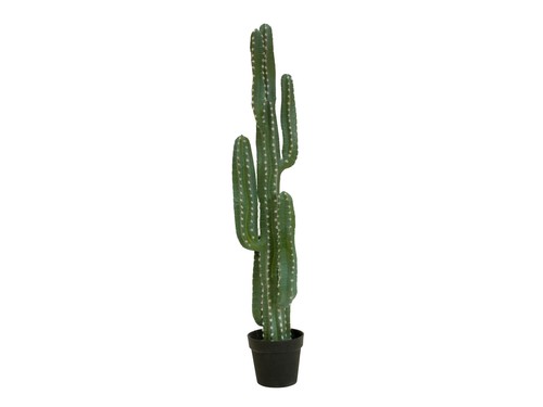 Cactus artificiale messicano - cactus,