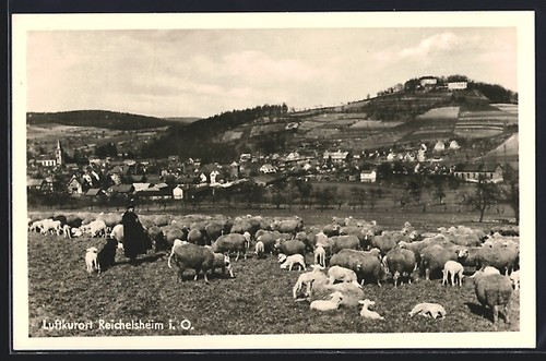 Cartolina reichelsheim o - cartolina,