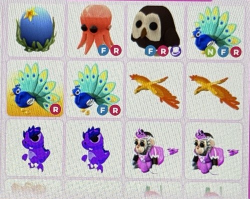 Random pet bundle - random, bundle✨🌈