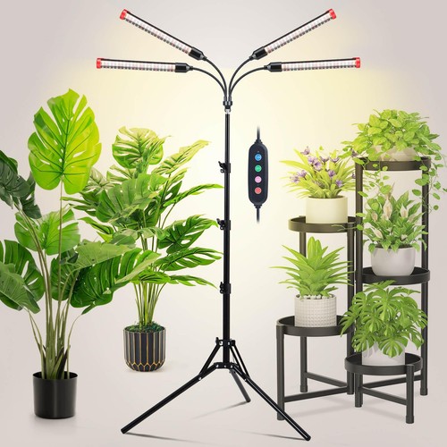 Luce coltivazione con - luce,