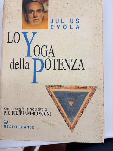 Evola yoga della potenza - evola, lo