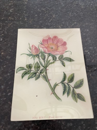John derian decopauge piatto - john,