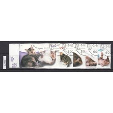 Confederazione 2004, numero