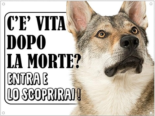 Cartello segnaletico cane - cartello,